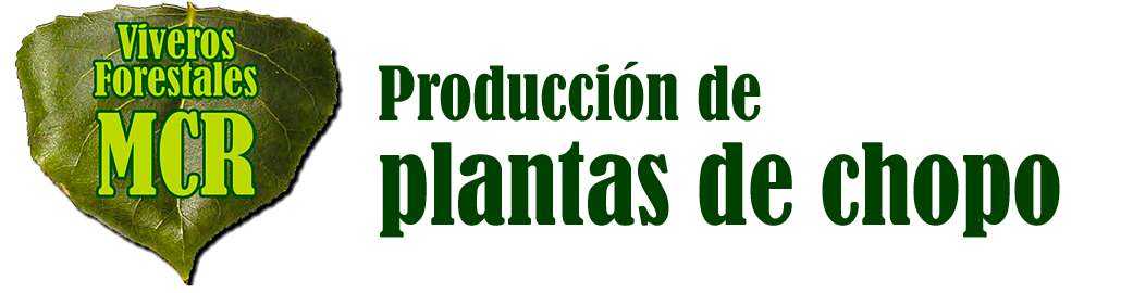 Plantas de Chopo en León