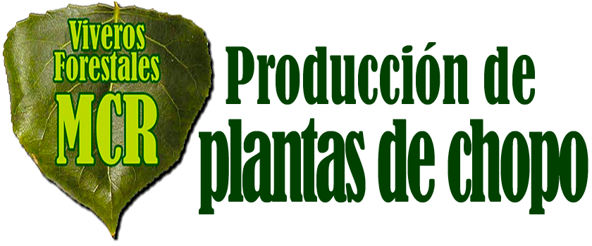 Plantas de Chopo en León